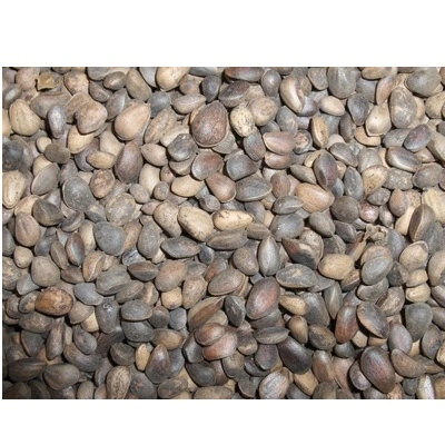 Tyroler nødder 25 kg